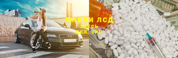 стафф Алзамай