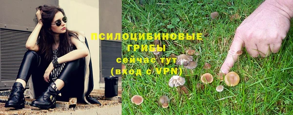a pvp Алексеевка