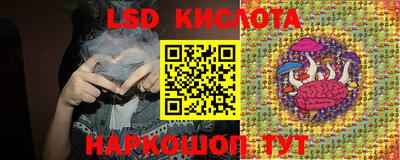 стаф Сланцы