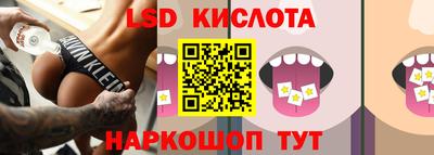 стаф Сланцы