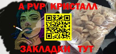 стаф Сланцы