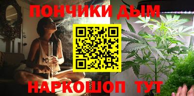 стаф Сланцы