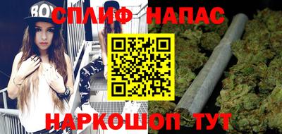 стаф Сланцы