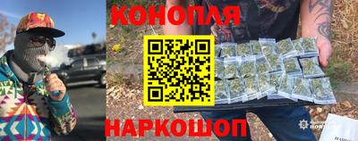 стаф Сланцы