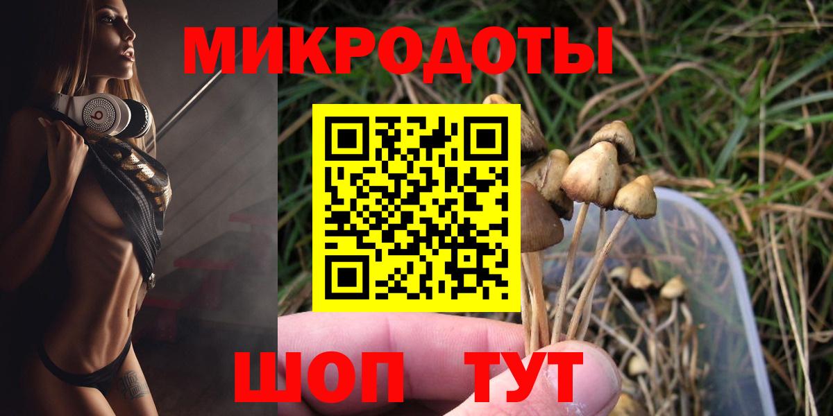 Псилоцибиновые грибы Cubensis Уссурийск