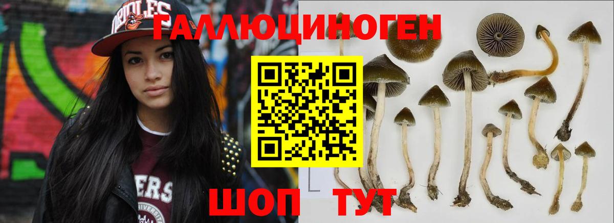 Галлюциногенные грибы Psilocybe  Вход с VPN  Галлюциногенные грибы прущие грибы  Уссурийск 